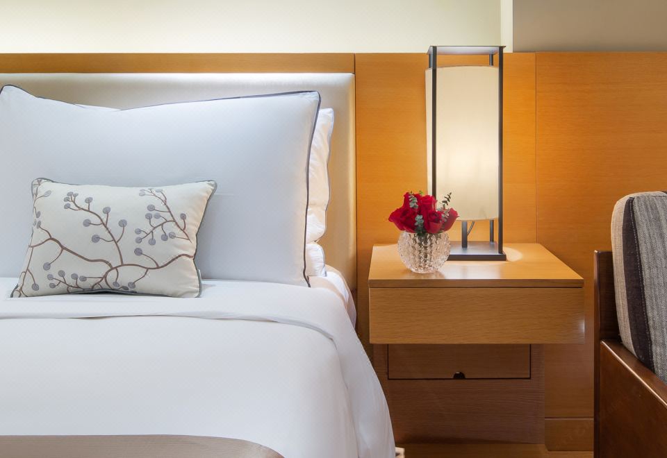 舒馨一居室套房