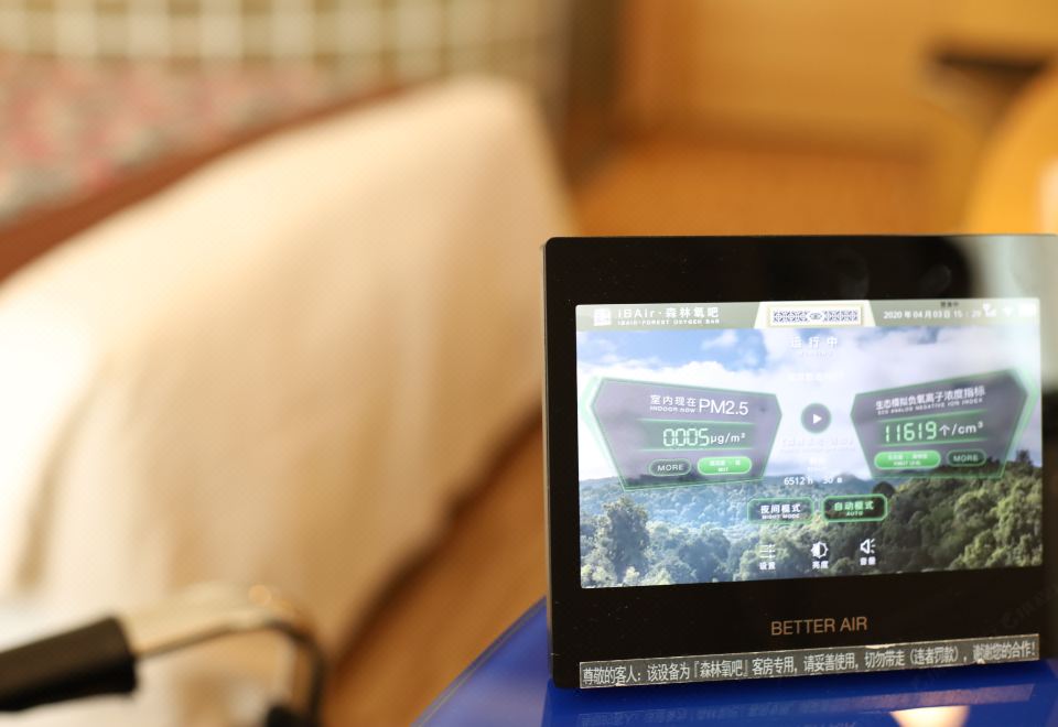 负氧离子清新大床房