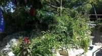 Huaying Yeshenggu Farm Stay