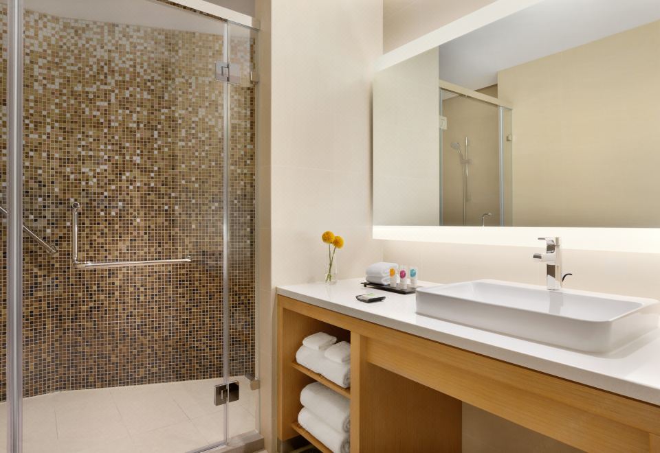 大床套房（帶梳化床）