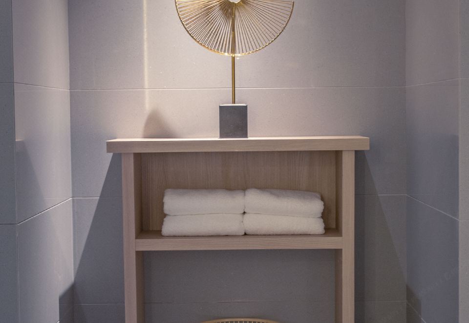 雅致双床房（超大空间+智能马桶）