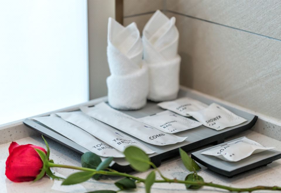 雅致大床房（慕思床垫+电视投屏+智能客控+小冰箱）