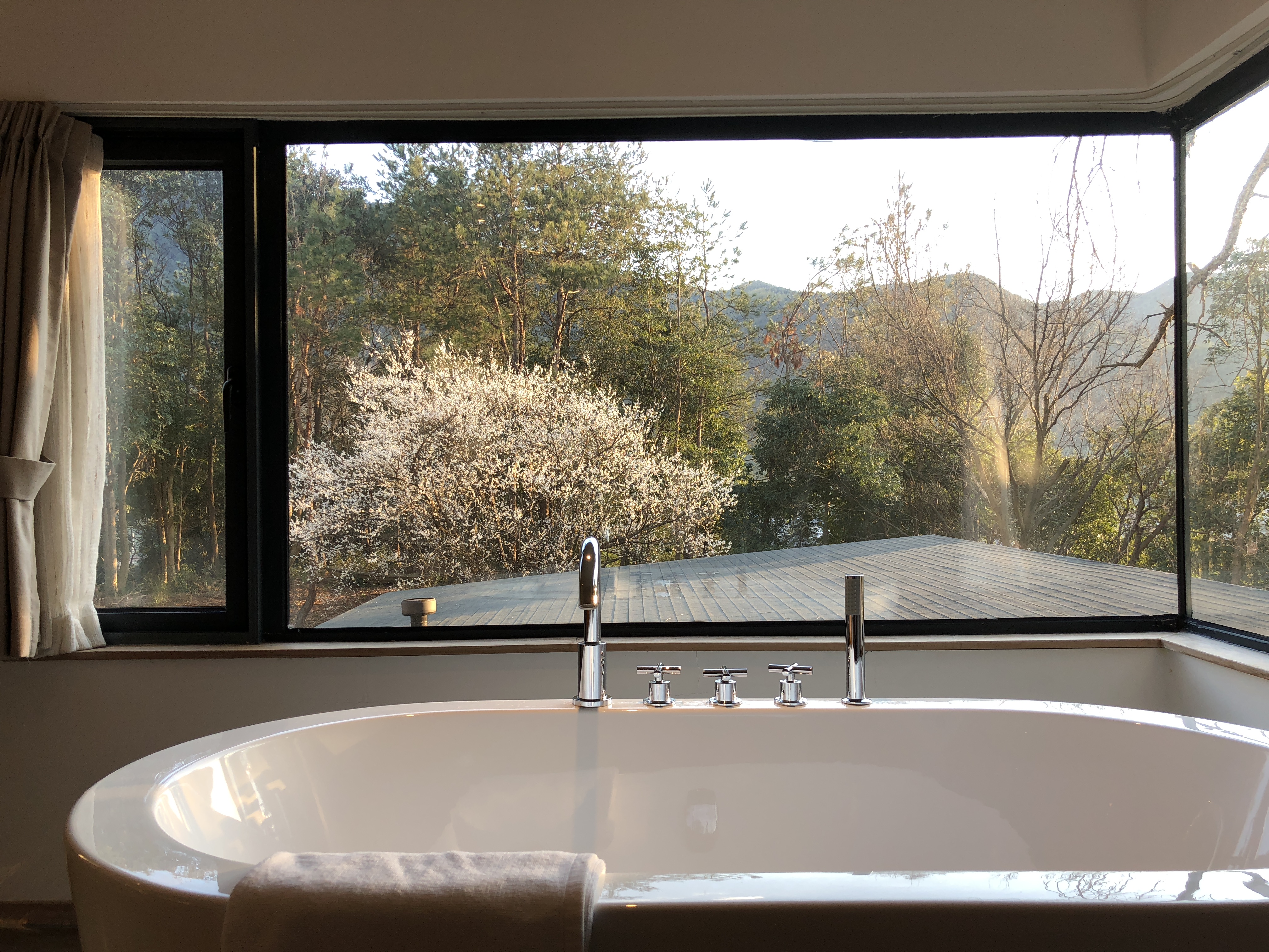 松林清风高级大床房