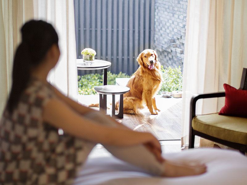 嘉賓軒寵物雙床房