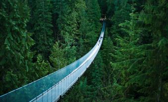 Capilano Forest Little House