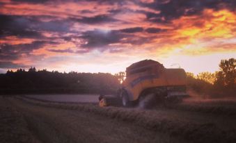 a tractor is working in a field with a beautiful sunset behind it , creating a serene atmosphere at Moor Court Farm