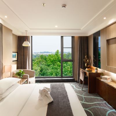 街景大床房（林蔭街景） 維納斯皇家飯店（桂林象鼻山日月雙塔店）優惠