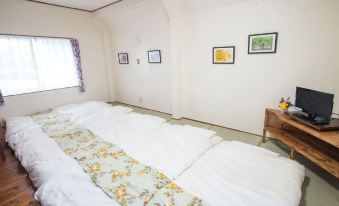 SN--Okinawa Spacious and Neat Seaside Sun Villa--B32-27