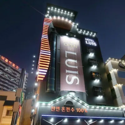 大田Yuseong Louis酒店 鄰近智足洞的酒店
