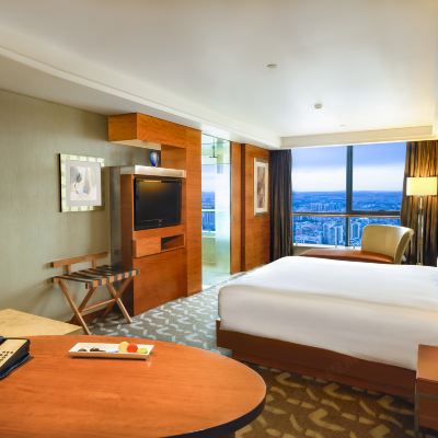 瑞士商務大床房 佛山恆安瑞士大飯店（嶺南新天地祖廟店）優惠