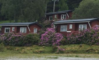 Loch Broom Cabins Seaviews& Petfriendly