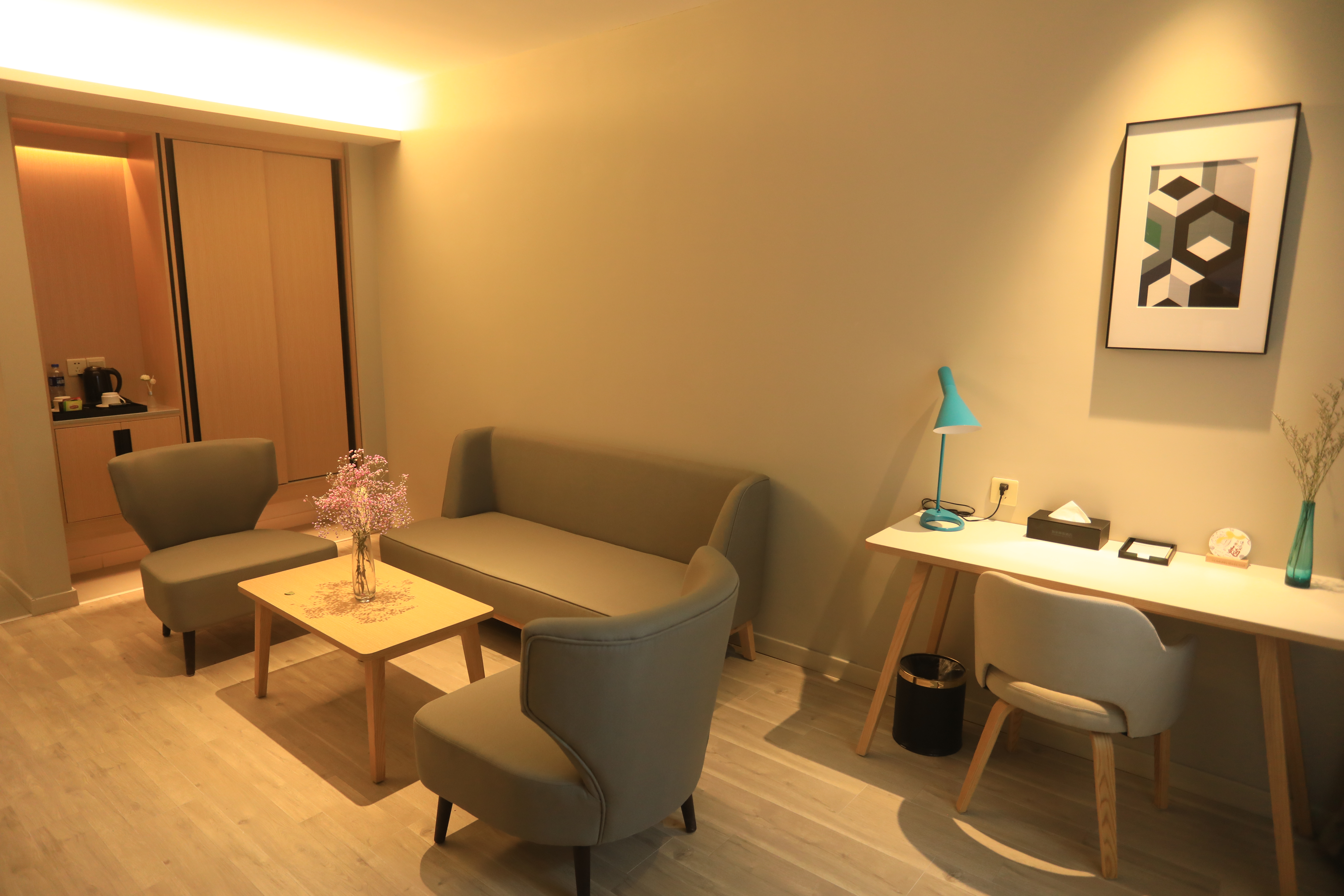 套房（零压枕+徕芬吹风机）