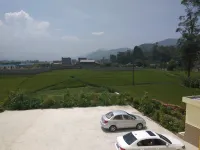 Mianning Olive Farm