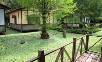 Tai-Yi Red Maple Resort (Tai-Yi Ecological Leisure Farm)