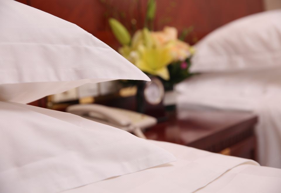 城景豪华双床房