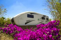 Zhenfeng Sanchahe Starry Sky Homestay