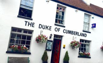 The Duke of Cumberland