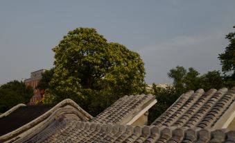 The rooftops and walls of the building resemble those of an 18th-century Chinese temple at Peking Yard  Boutique Hotel