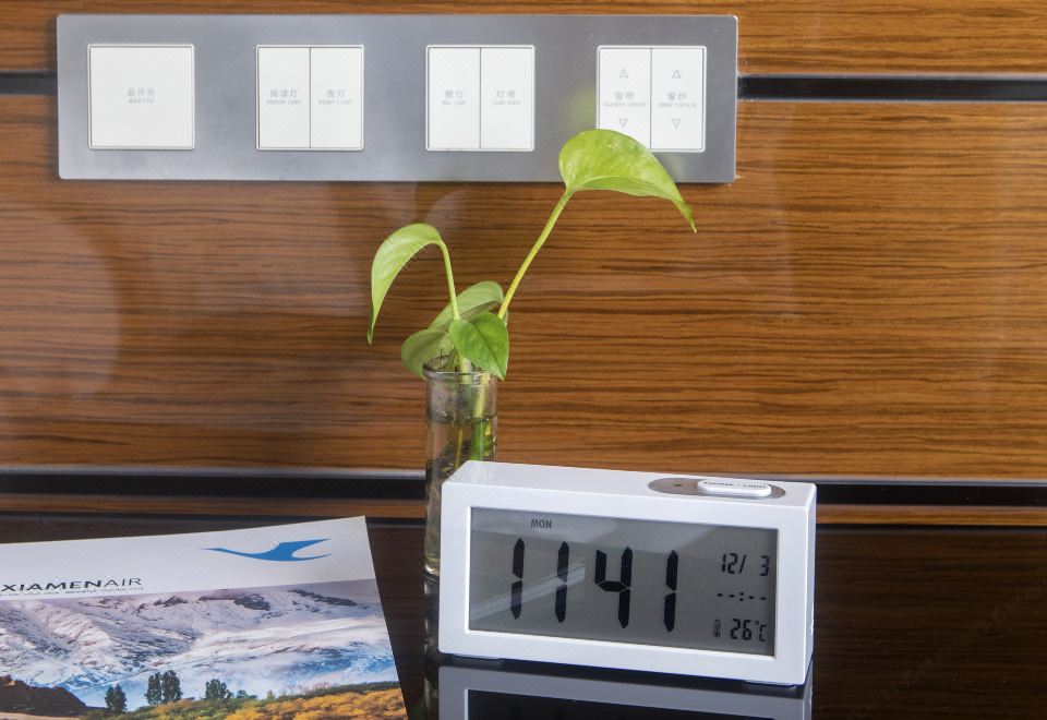 商务湖景大床房【深睡枕+电动沙发+尽览篔簹湖景】