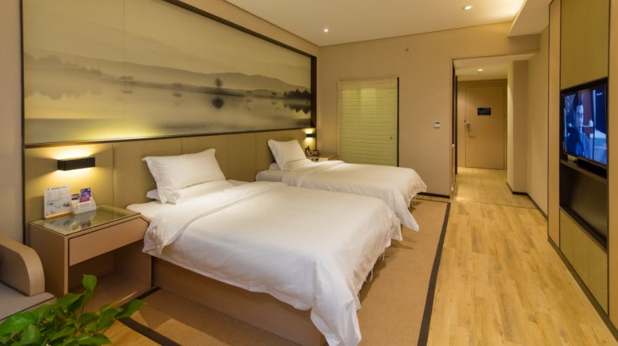 Elegant Deluxe Room (2 beds)