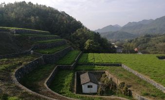 Wu Xie scenic area grenn house  in east dock