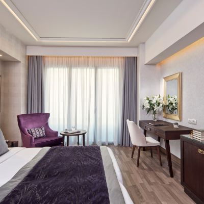 Classic Room Electra Metropolis Promo Code