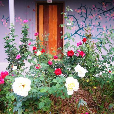 Glass Room The Bloom Promo Code