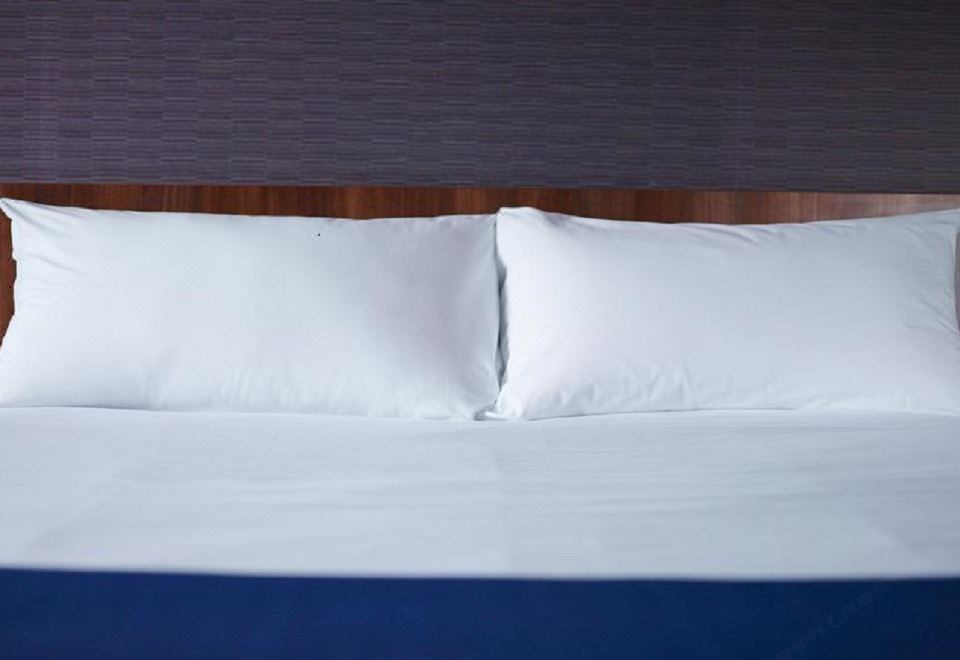 无障碍双人床房