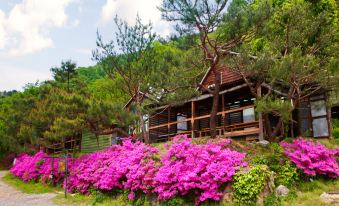 Gapyeong Rodem Tree Pension