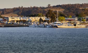 a marina with several boats docked , including a large yacht and a smaller yacht , near a shoreline at Bayside Hotel