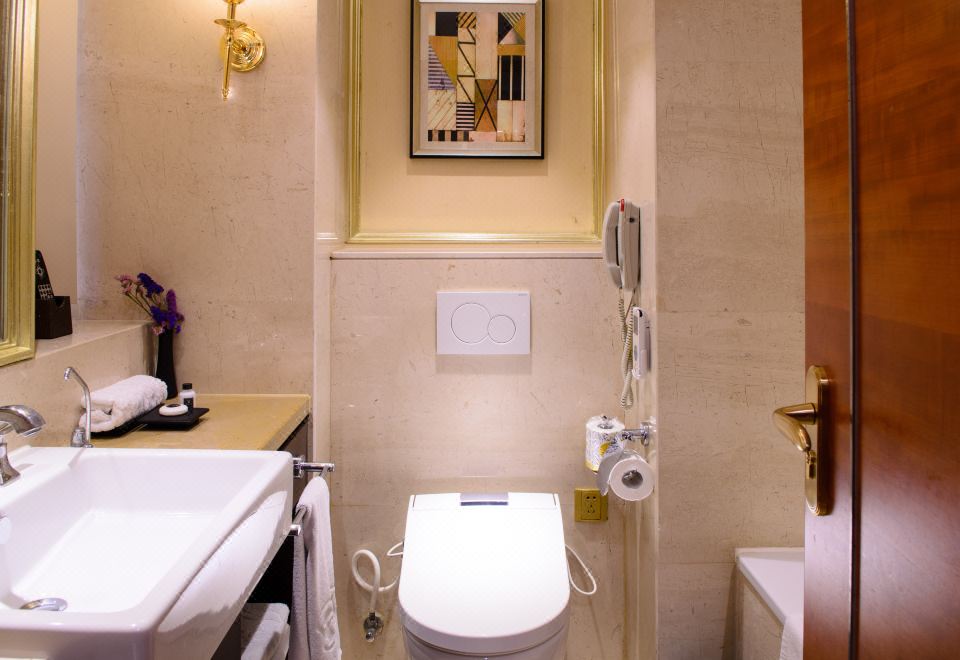 豪华商务双床房