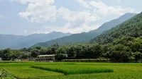 Tianyu Tacheng Boutique Inn
