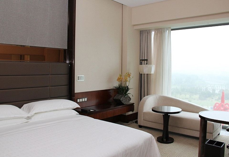 特级豪华大床房