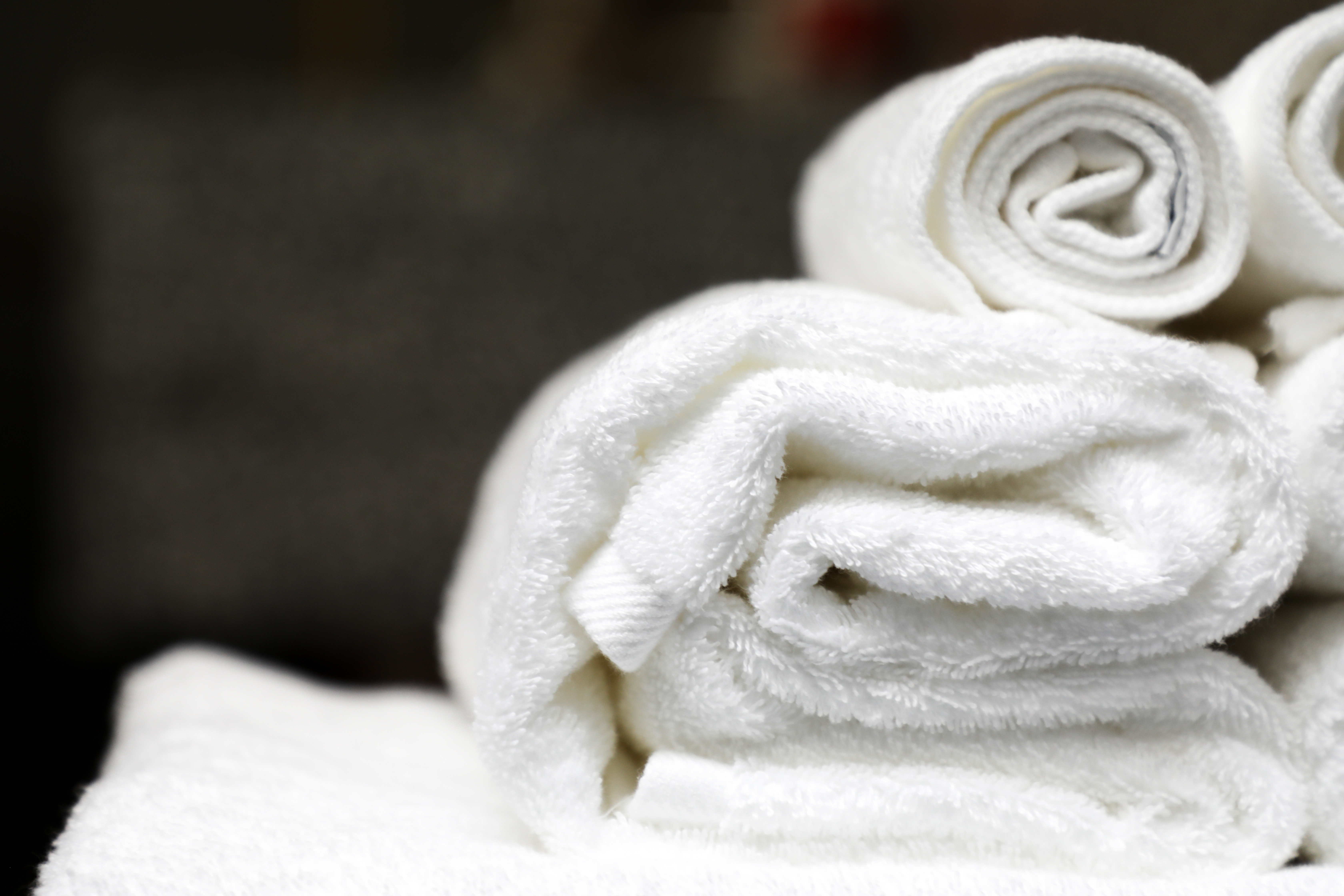 温香小筑宠物主题房