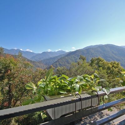 安德魯豪華四人房 南投清境緹香觀景民宿優惠