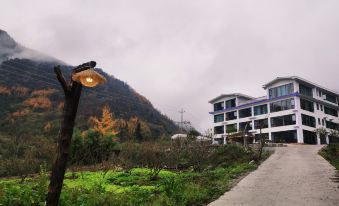 Muyue Qinglan Hostel