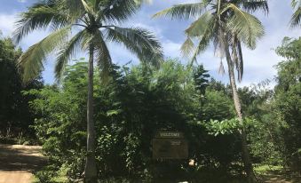 Bohol Coco Farm Hostel