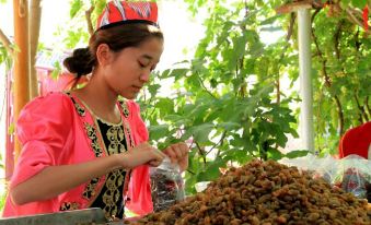 Yuanmengyuan Grape Manor