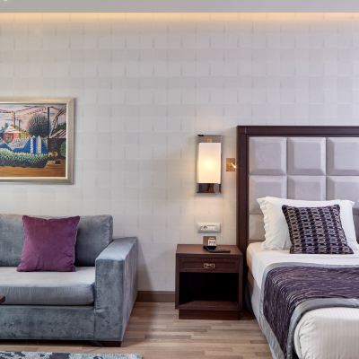 Executive Room Electra Metropolis Promo Code
