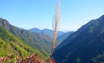 Jiuhuashan Yushiyuanju (Bai Sui Gong Branch)