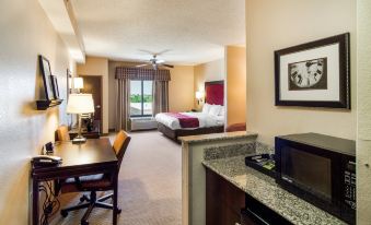 Comfort Suites DFW N/Grapevine