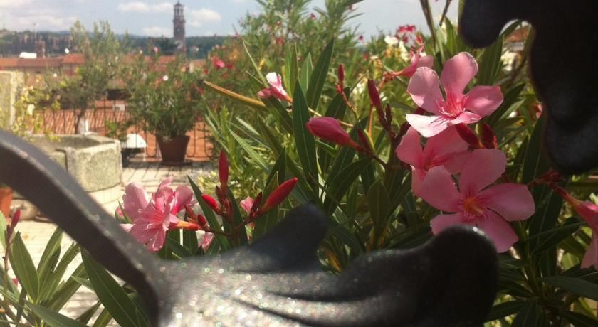 套房（带露台）