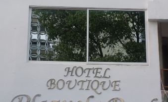 Hotel Boutique Plazuela Real