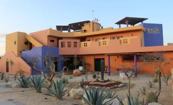 Hotel Passion Secrets Villas & Suites - Housity