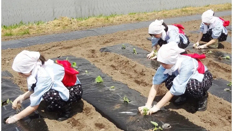 日本の宿 古窯 食事・レストラン