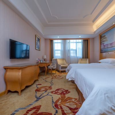 豪華雙床房 維也納國際飯店（深圳龍崗天安數碼城店）優惠