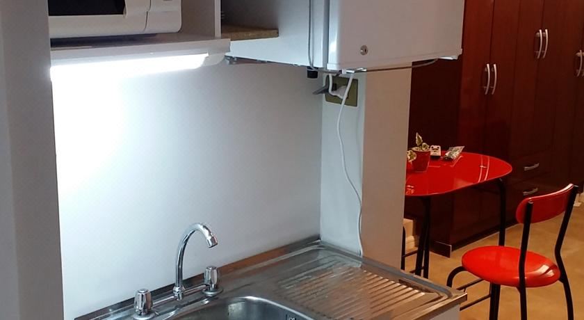 带园景一室公寓