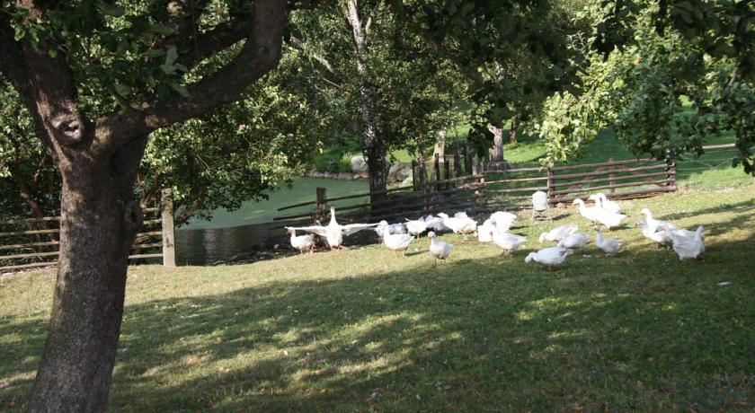 Villa Duxcaar Deluxe Villa