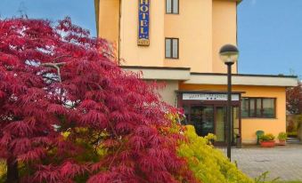 a yellow building with a blue sign is surrounded by trees and bushes , and red flowers at Hotel Majestic