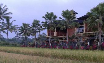 Villa Cempaka Tegalalang Ubud Bali